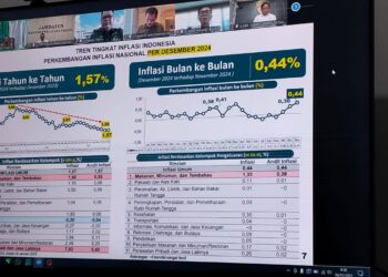 Pemprov Sultra Ikuti Rakor Pengendalian Inflasi Secara Virtual, Fokus Jaga Kestabilan Ekonomi