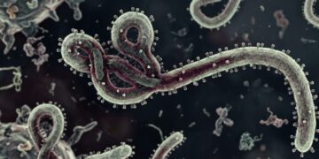 WHO Tetapkan Ebola Sebagai PHEIC, Kemenkes Tingkatkan Pengawasan dan Imbau Masyarakat Tetap Waspada
